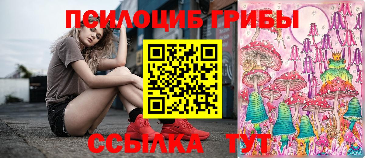 Галлюциногенные грибы Cubensis  Псилоцибиновые грибы мицелий  Холмск  Вход с VPN 
